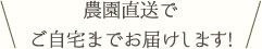 農園直送でご自宅までお届けします!